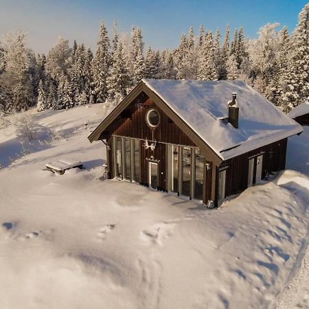 Ottsjoe-Are Lodge Екстериор снимка