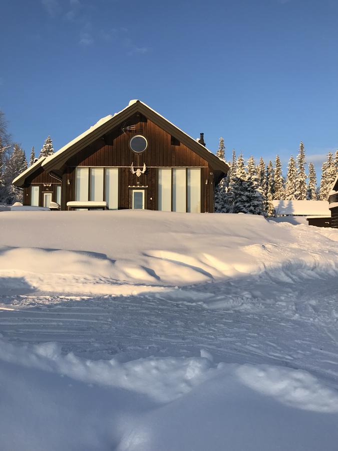 Ottsjoe-Are Lodge Екстериор снимка